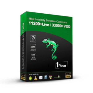 1 Year IPTV – Digitalizad – 2 connections
